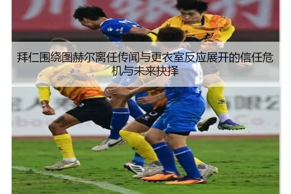 img_1781546935515_244_1_126.jpg