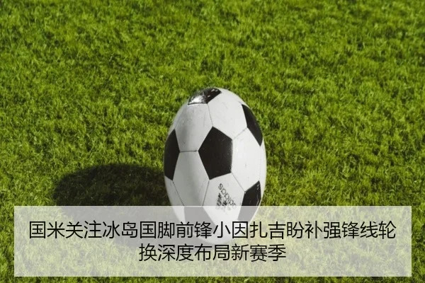 国米关注冰岛国脚前锋小因扎吉盼补强锋线轮换深度布局新赛季